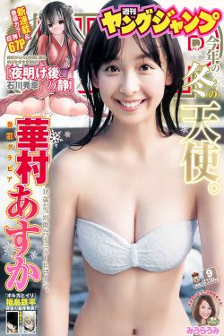 分腿器